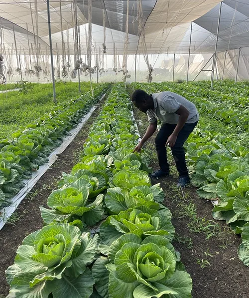 Agriculteur EDEN Agro-Business au travail dans les planches de culture
