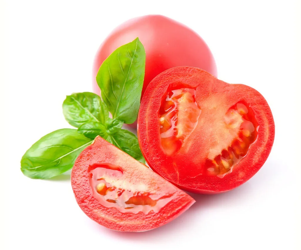 Tomates fraîches et basilic issus des cultures EDEN Agro-Business
